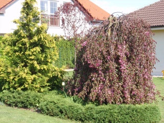 P5030710