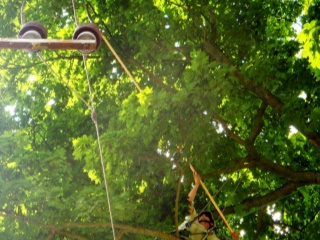 DSC06007