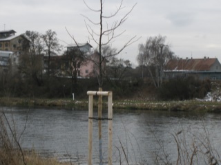 2010-01-verejne-0002