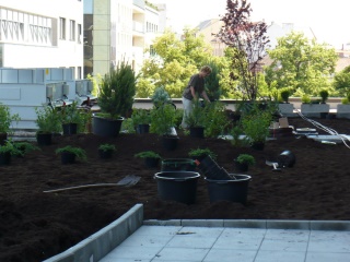 2010-01-magnum-0010