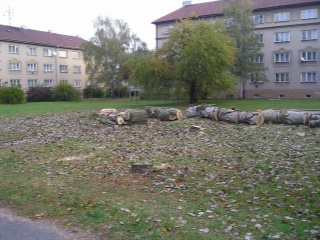 Fotky 074