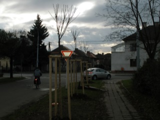 leden 2009 065