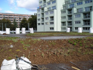 2010-01-polabiny-0001