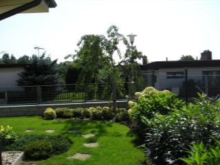 Zahrada 003