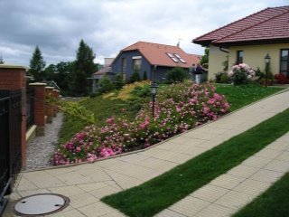 P7130037