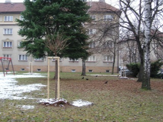 Fotky 116