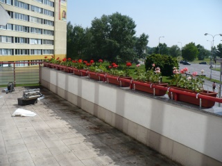 2010-01-skola_hk-0006