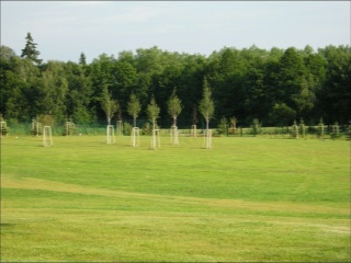 foto07
