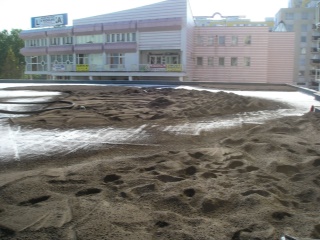 2010-01-polabiny-0002