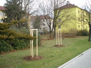 leden 2009 063