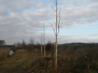 2010-01-verejne-0005
