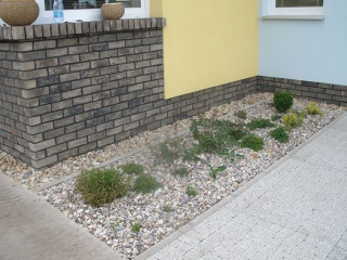 červenec2009 017