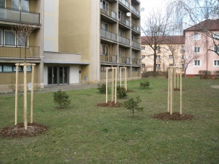 leden 2009 067
