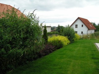 P7130039