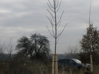 2010-01-verejne-0006