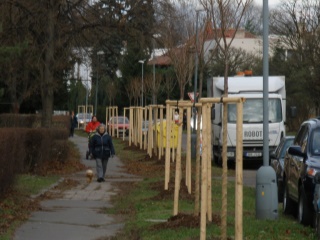 leden 2009 066
