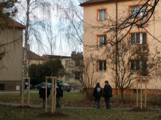 leden 2009 068