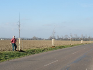 2010-01-verejne-0003