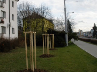 leden 2009 062