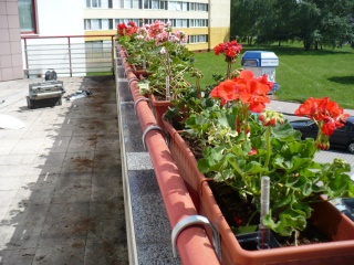 2010-01-skola_hk-0009