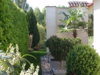 P5030719