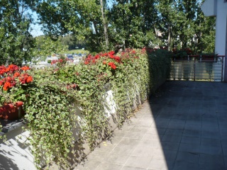2010-01-skola_hk-0020