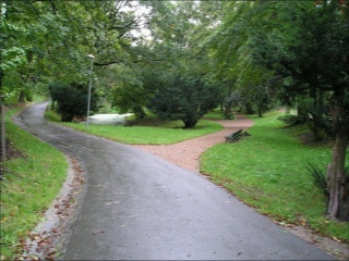 foto16