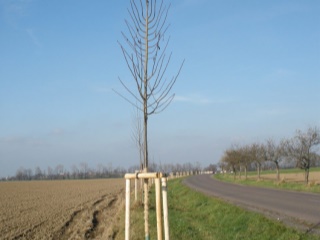 2010-01-verejne-0004