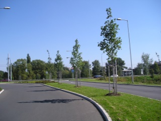 červenec 2006 074