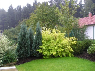 Fotky 046