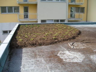 2010-01-polabiny-0004