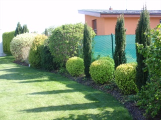 P5030708