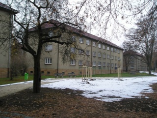 Fotky 113